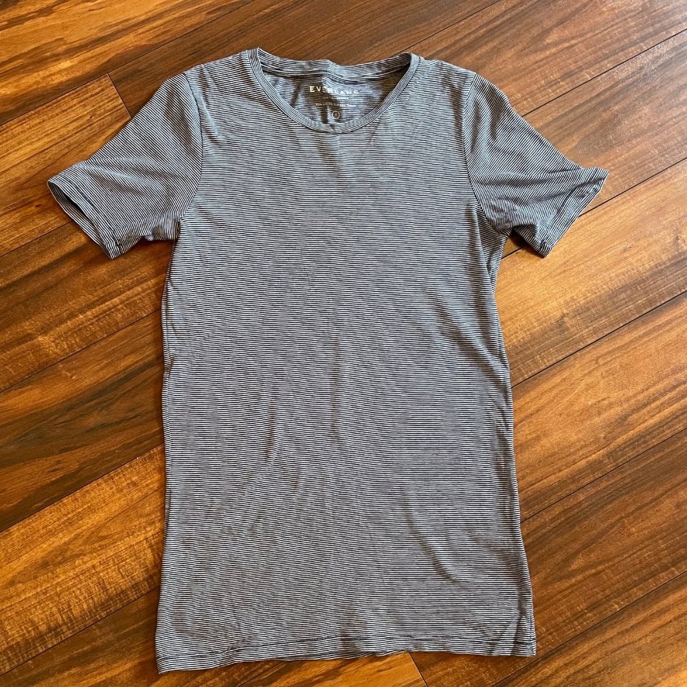 Everlane Crew Pima Cotton Tee Blue White Micro Stripe Small